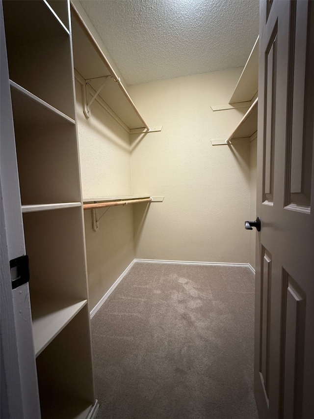 spacious closet featuring carpet floors