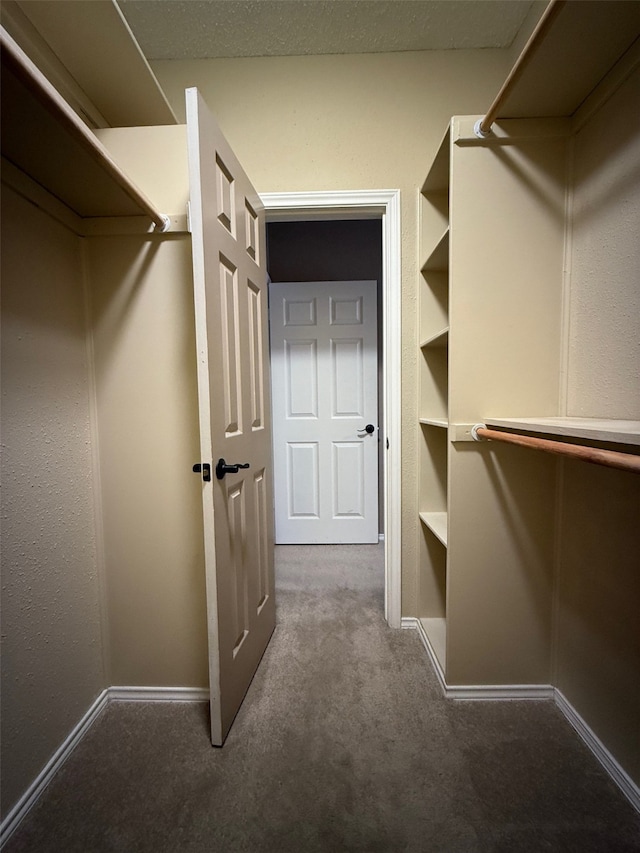 spacious closet with carpet flooring