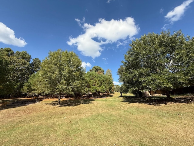 view of yard featuring a rural view