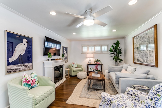 living room featuring ceiling fan, ornamental molding, and dark wood-type flooring