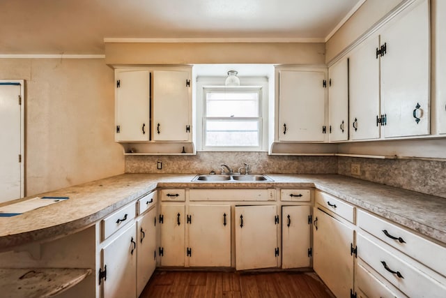 kitchen featuring dark hardwood / wood-style floors, ornamental molding, and sink