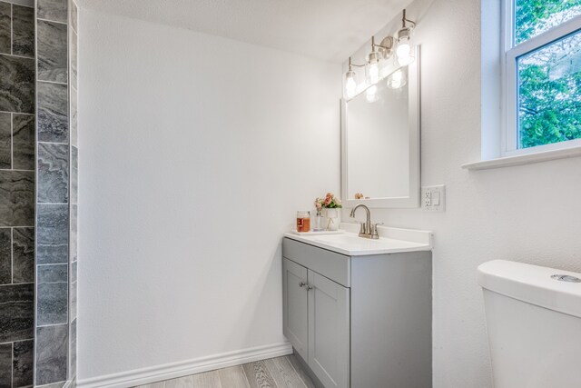 bathroom with hardwood / wood-style flooring, vanity, and toilet