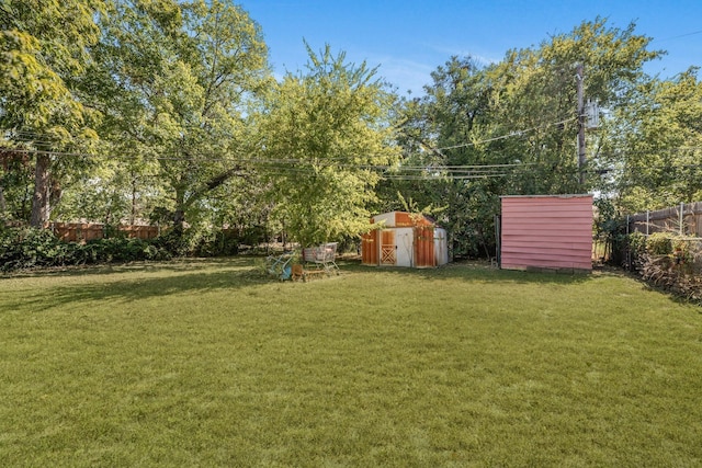 view of yard with a storage shed