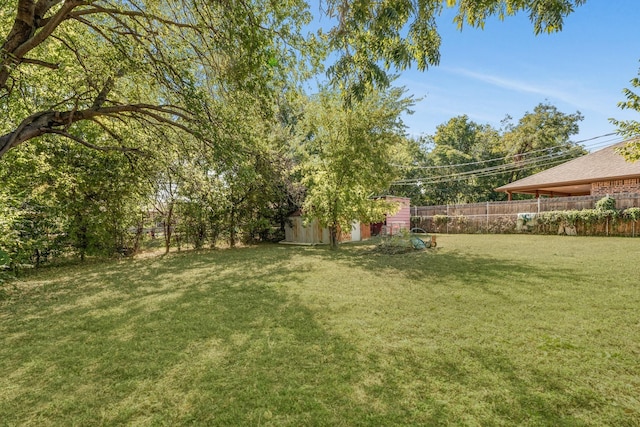 view of yard featuring a storage unit