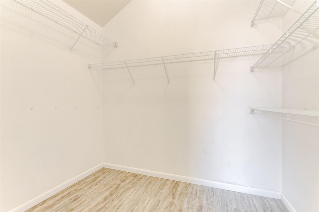 spacious closet featuring light wood-type flooring