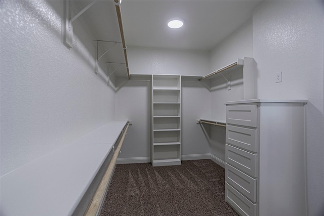 spacious closet with dark colored carpet