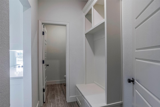 mudroom featuring hardwood / wood-style flooring