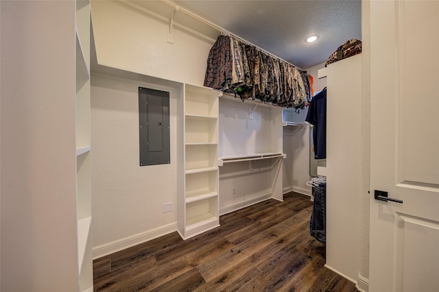 spacious closet featuring dark hardwood / wood-style flooring and electric panel