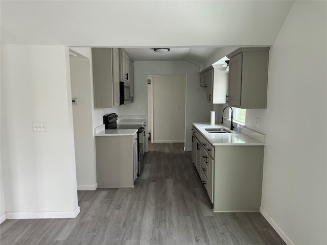 kitchen with hardwood / wood-style floors, sink, gray cabinetry, and black range with electric cooktop