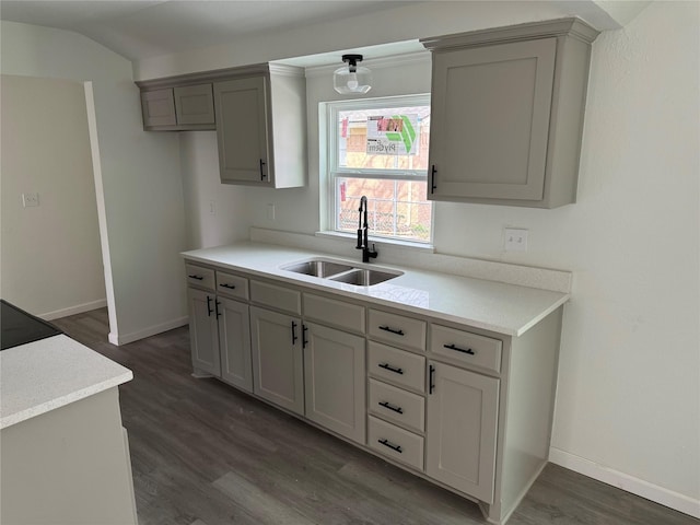 kitchen featuring gray cabinetry, sink, and dark wood-type flooring