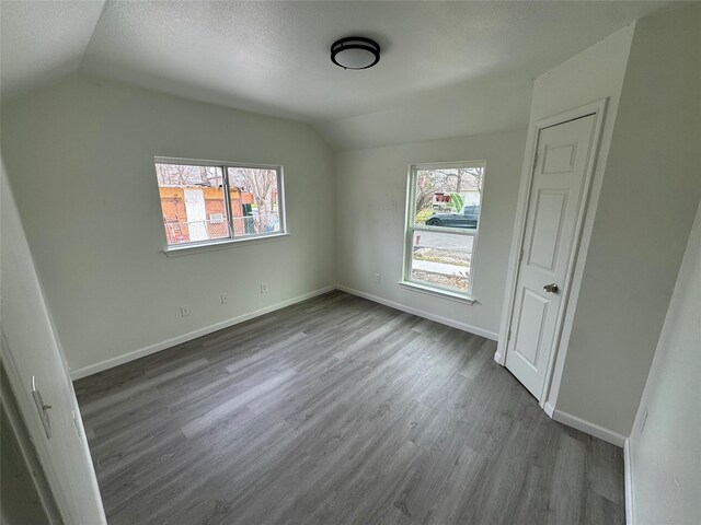 interior space with multiple windows, hardwood / wood-style floors, vaulted ceiling, and a textured ceiling