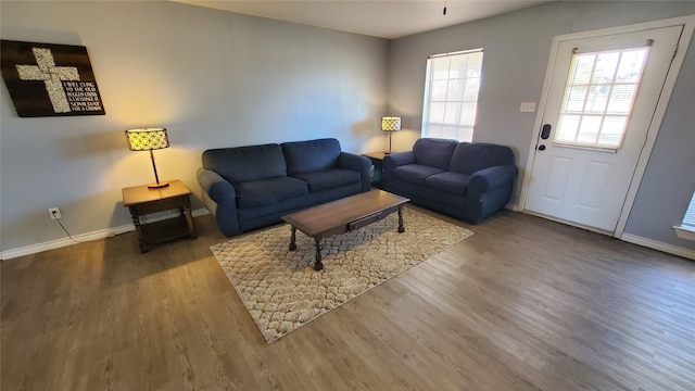 living room with wood-type flooring