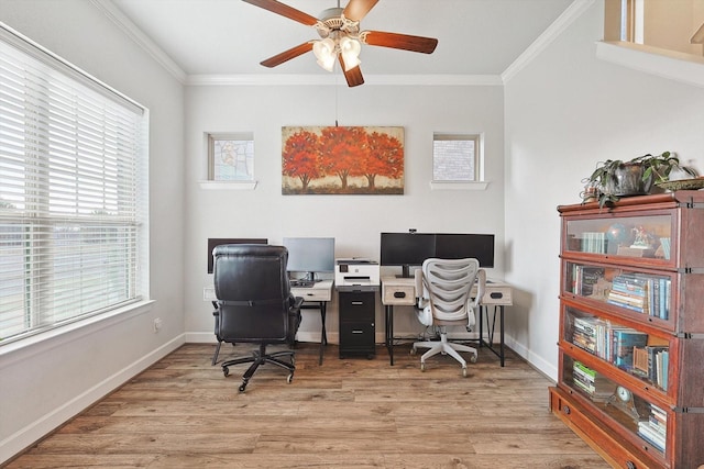 office space featuring ceiling fan, crown molding, a wealth of natural light, and light hardwood / wood-style flooring