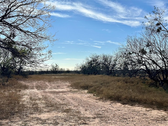 Listing photo 3 for TBD Fm-2287 Cr241, Cross Plains TX 76443