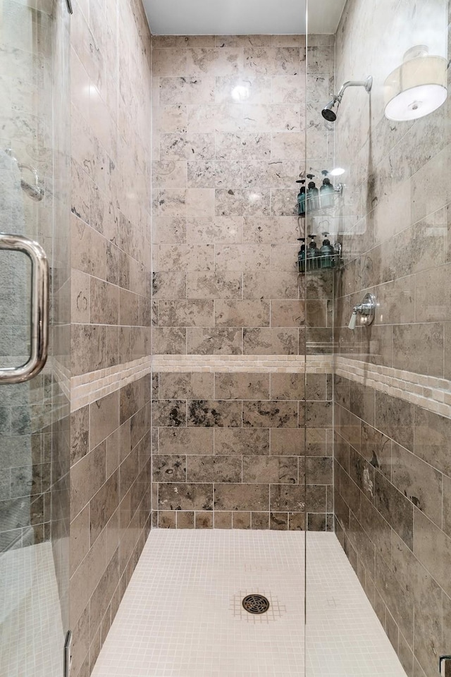 bathroom featuring a shower with shower door