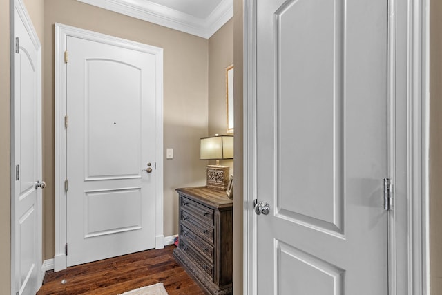 interior space with crown molding and dark wood-type flooring