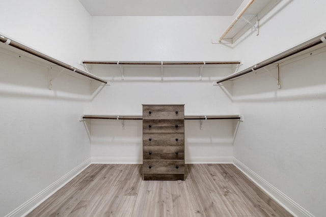 walk in closet with light hardwood / wood-style flooring