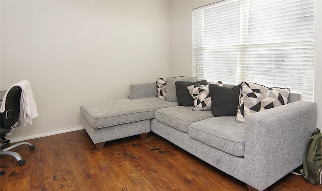 living room with dark hardwood / wood-style floors