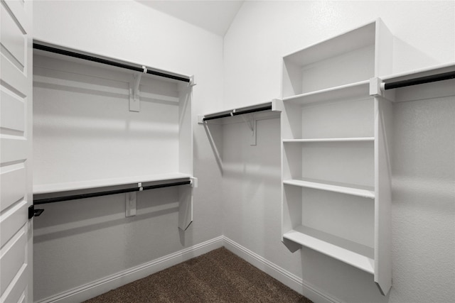 walk in closet featuring carpet flooring