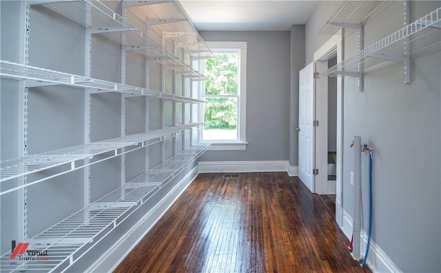 spacious closet featuring dark wood-type flooring