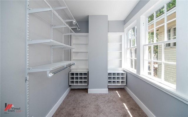 walk in closet with carpet