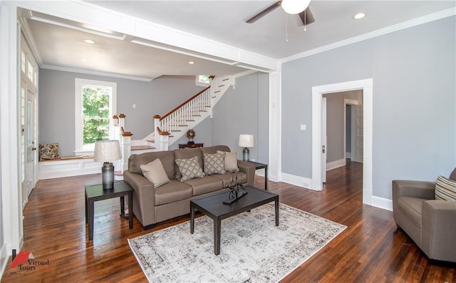 living room with ceiling fan, crown molding, and dark wood-type flooring