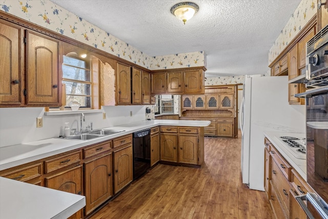 kitchen featuring sink, dishwasher, dark hardwood / wood-style floors, a textured ceiling, and white gas cooktop