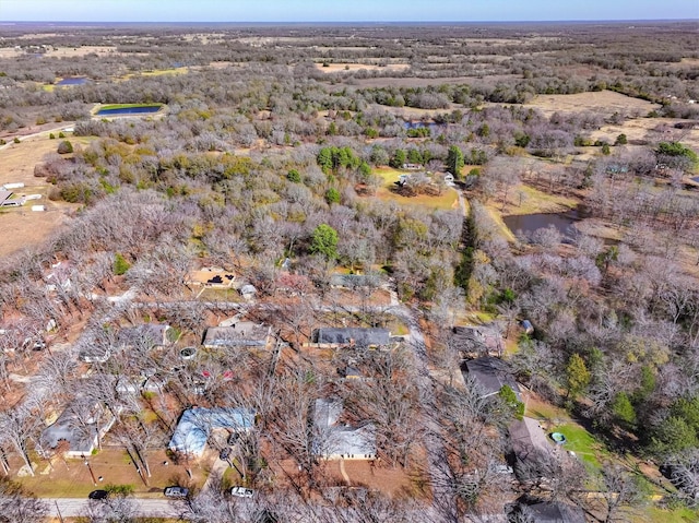 drone / aerial view