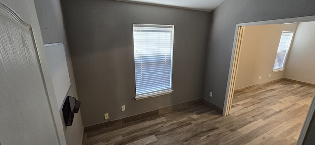 interior space featuring hardwood / wood-style floors and a healthy amount of sunlight