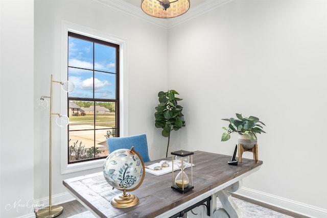 office space featuring hardwood / wood-style flooring and ornamental molding