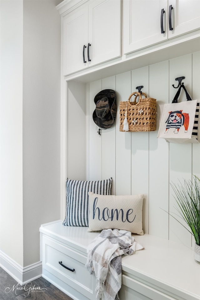 mudroom with dark hardwood / wood-style flooring