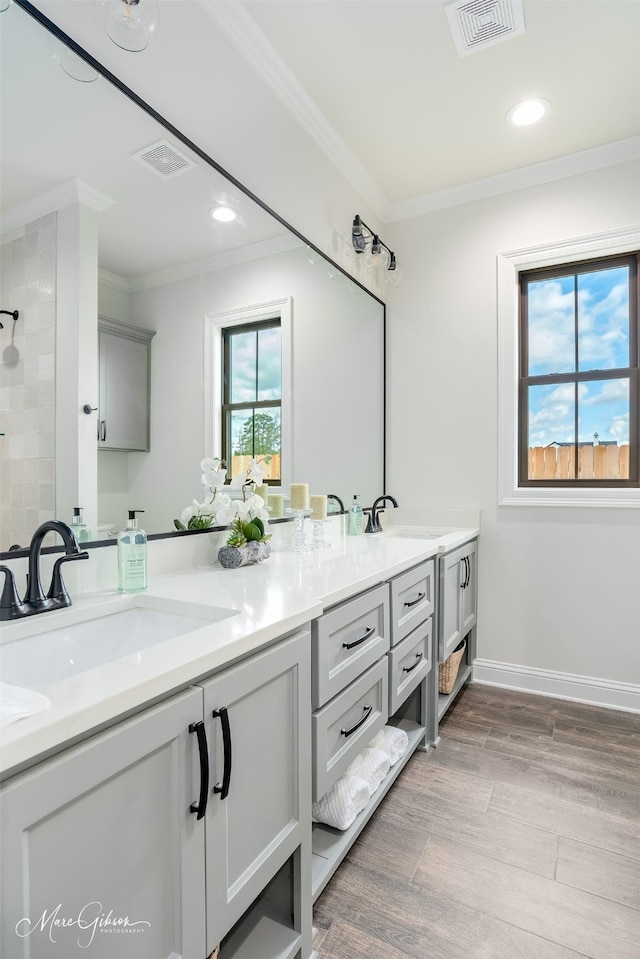 bathroom featuring ornamental molding, wood-type flooring, and vanity