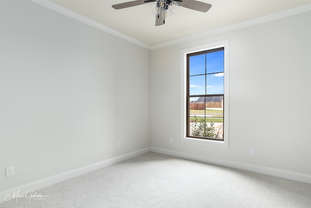 spare room featuring crown molding, ceiling fan, and carpet