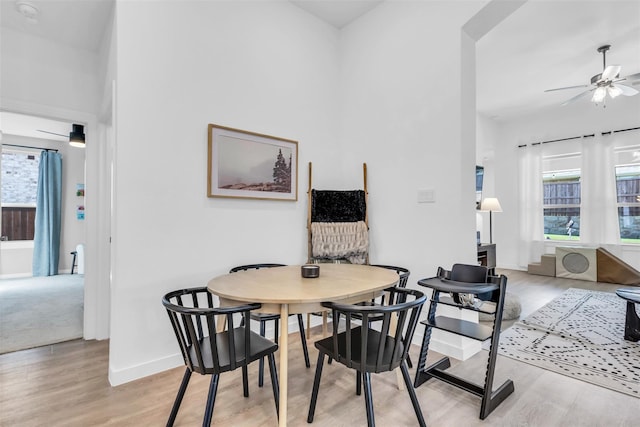 dining area with ceiling fan and light hardwood / wood-style flooring