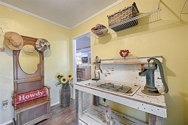interior space with crown molding, wood finished floors, and baseboards