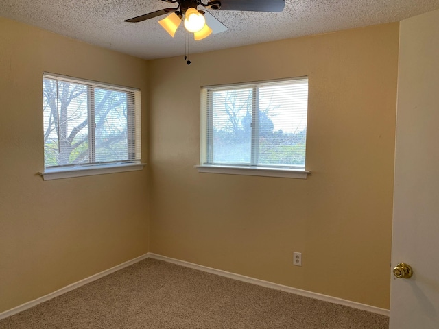 spare room featuring ceiling fan, carpet floors, and a textured ceiling