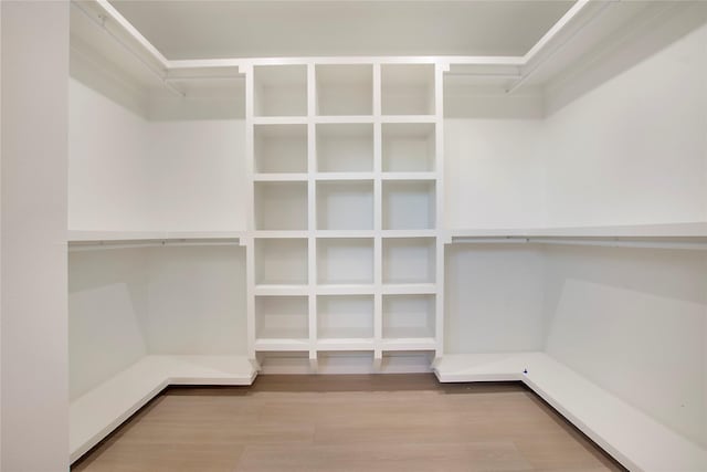 walk in closet with hardwood / wood-style flooring