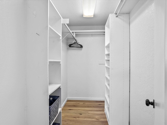 spacious closet featuring light hardwood / wood-style floors