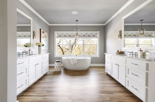 bathroom with hardwood / wood-style flooring, vanity, and a healthy amount of sunlight