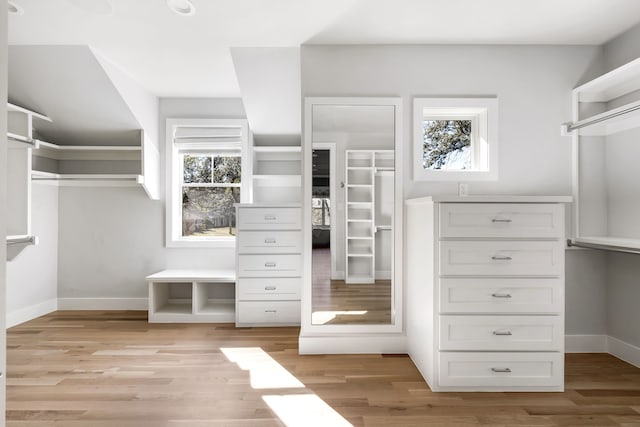 spacious closet featuring light hardwood / wood-style flooring