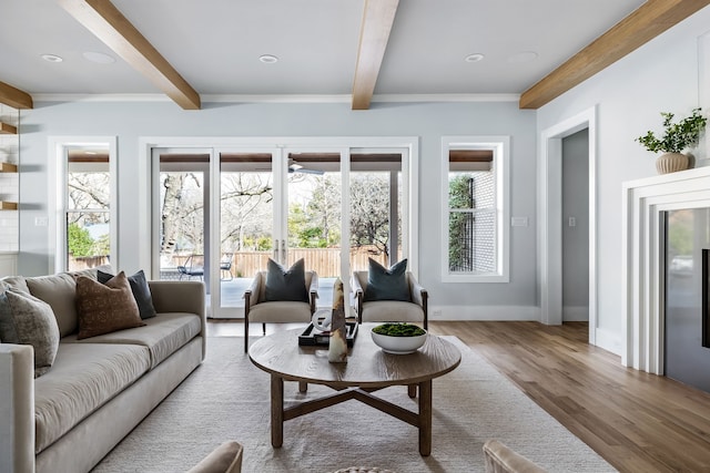 living room featuring beam ceiling and hardwood / wood-style flooring