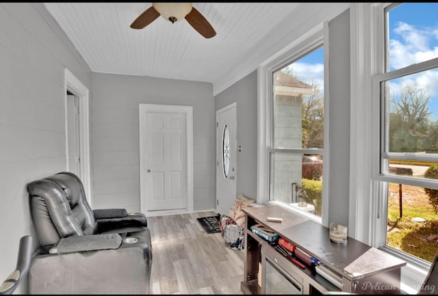 living area featuring light hardwood / wood-style floors, ceiling fan, and a healthy amount of sunlight