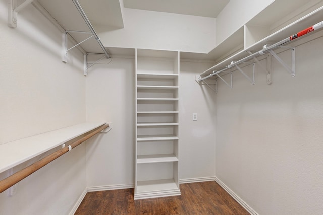 walk in closet featuring dark wood-type flooring