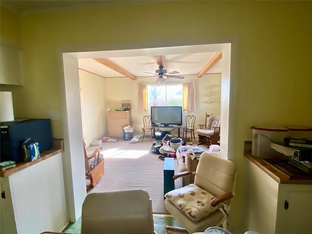 carpeted living room with ceiling fan and beamed ceiling