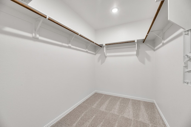 spacious closet featuring carpet floors