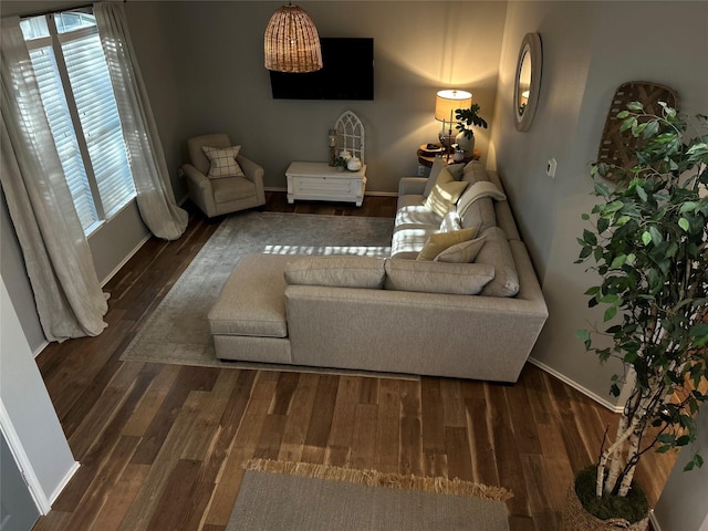 living room with dark hardwood / wood-style floors