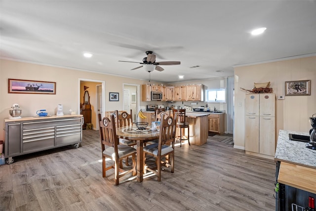 dining area featuring ceiling fan, ornamental molding, sink, and light wood-type flooring