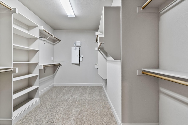 walk in closet with light carpet