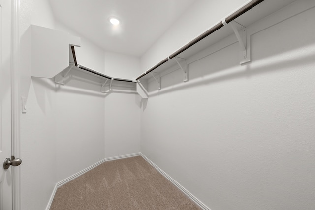 walk in closet with carpet