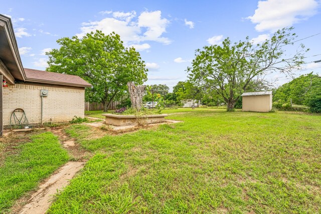 view of yard with a storage unit